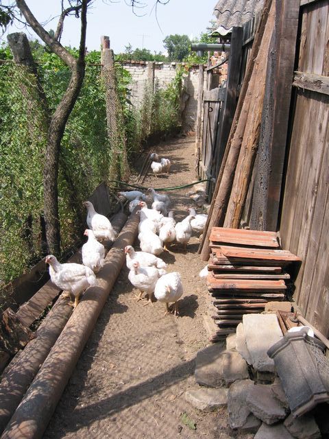 20040709_0048.jpg - click for next picture